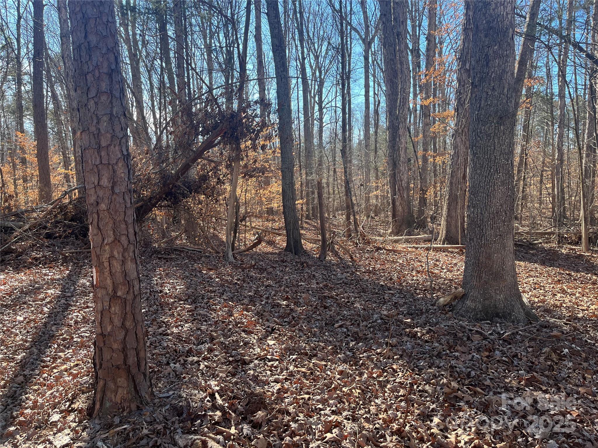 15.009 Acres Archer Road Davidson NC 28036