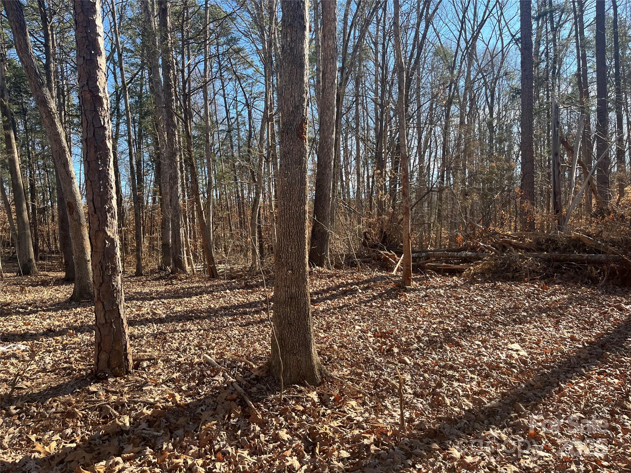 15.009 Acres Archer Road Davidson NC 28036