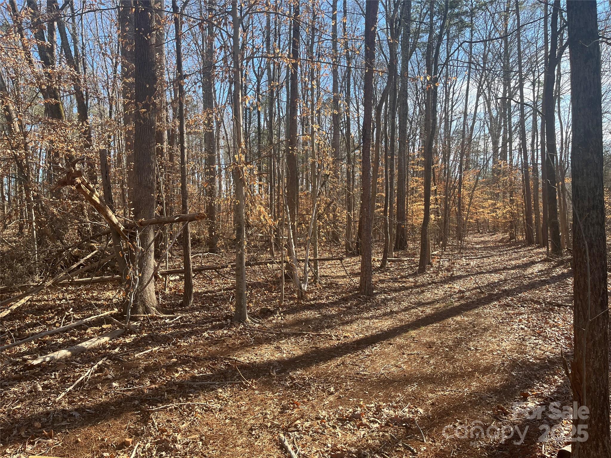 15.009 Acres Archer Road Davidson NC 28036