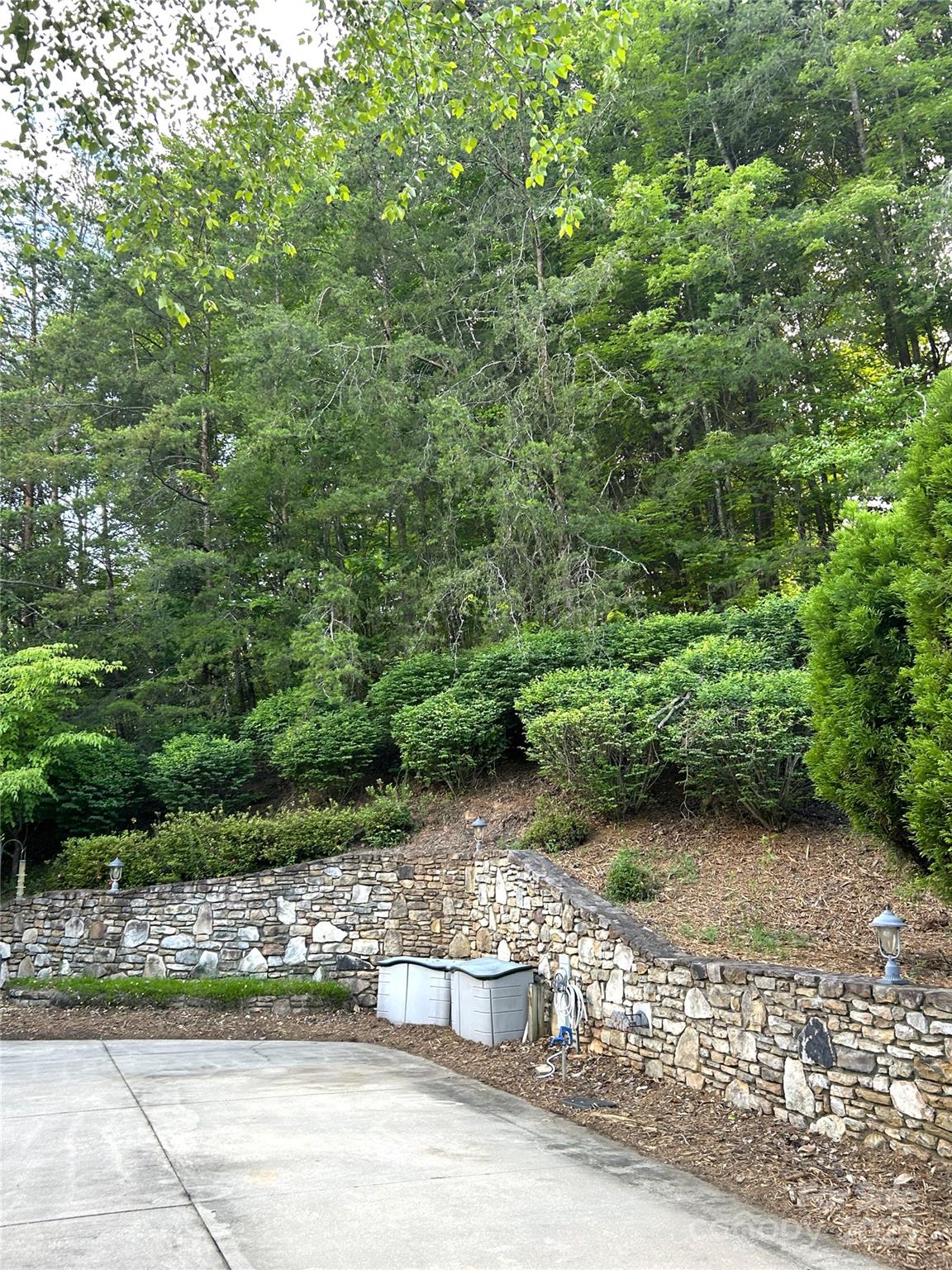 143 Cornell Circle Lake Lure NC 28746