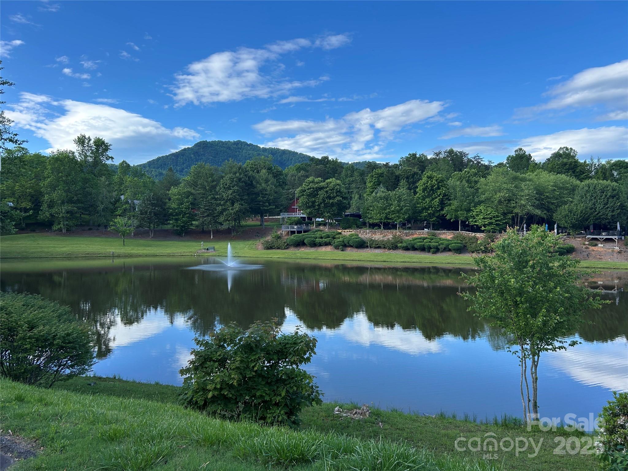 143 Cornell Circle Lake Lure NC 28746