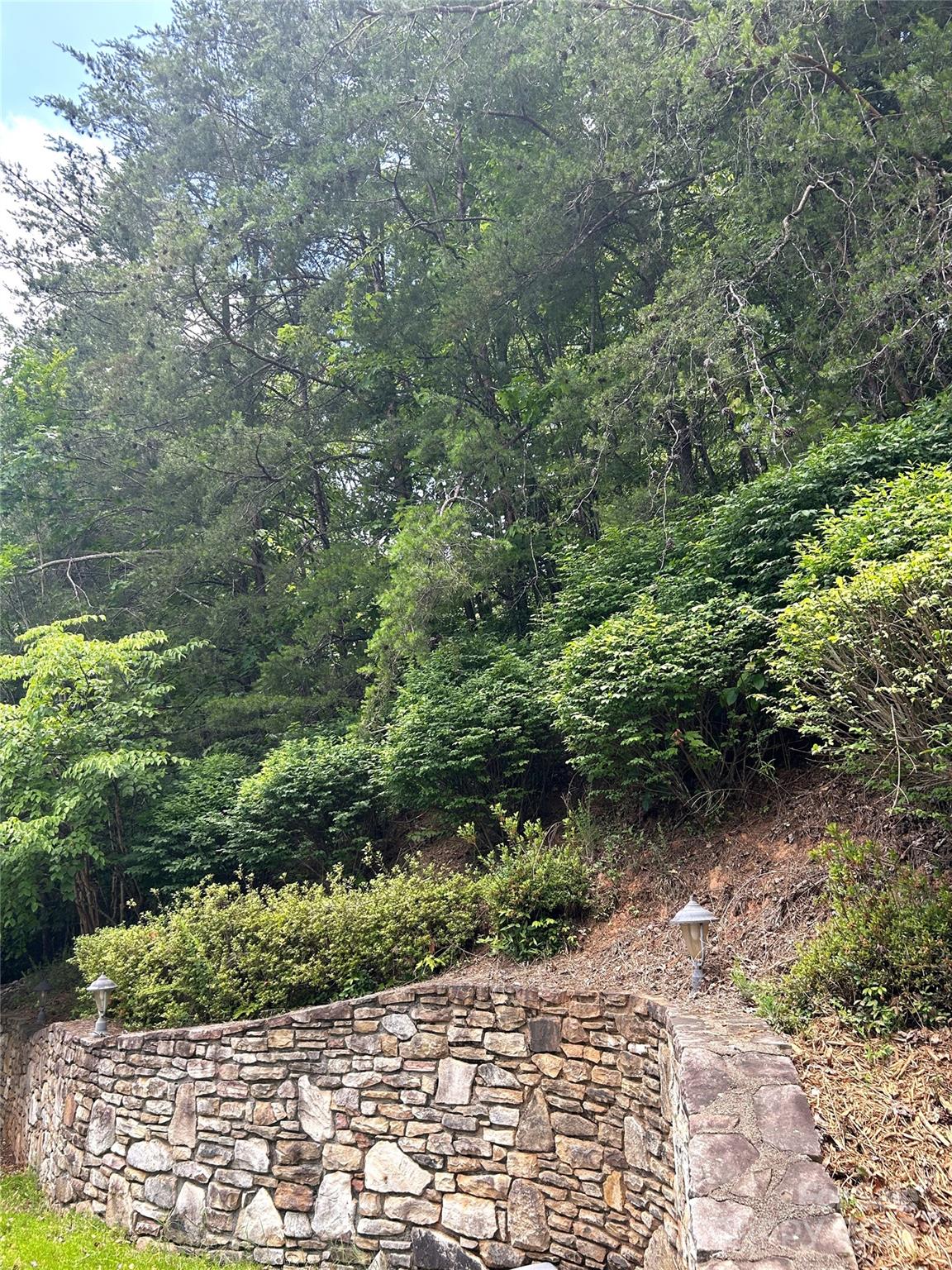 143 Cornell Circle Lake Lure NC 28746