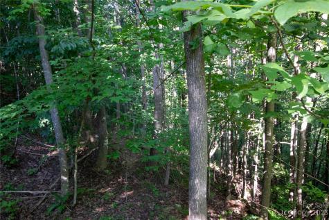 Lot# 526 Timber Rock Drive Lenoir NC 28645