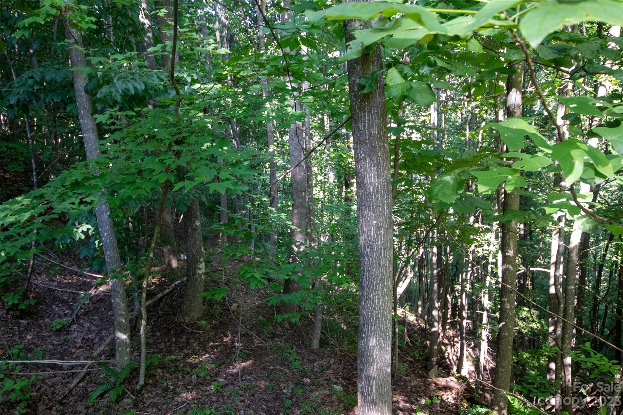 Lot# 526 Timber Rock Drive Lenoir NC 28645