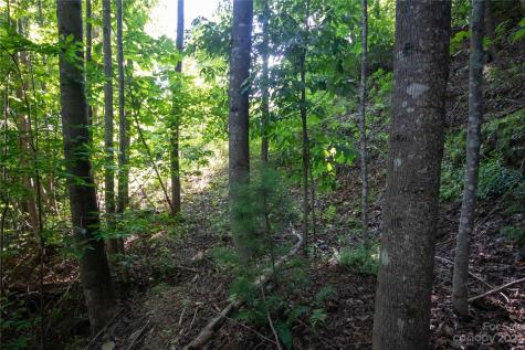 Lot# 526 Timber Rock Drive Lenoir NC 28645
