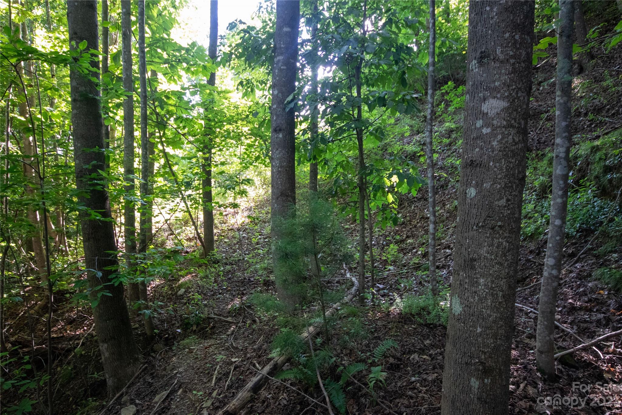 Lot# 526 Timber Rock Drive Lenoir NC 28645