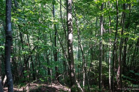 Lot# 526 Timber Rock Drive Lenoir NC 28645