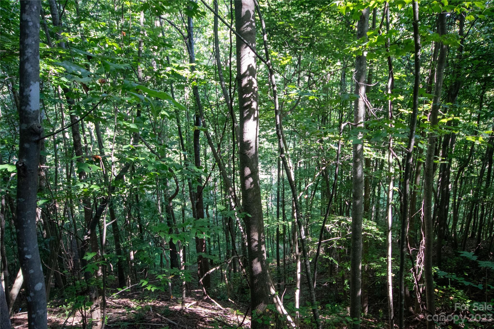 Lot# 526 Timber Rock Drive Lenoir NC 28645
