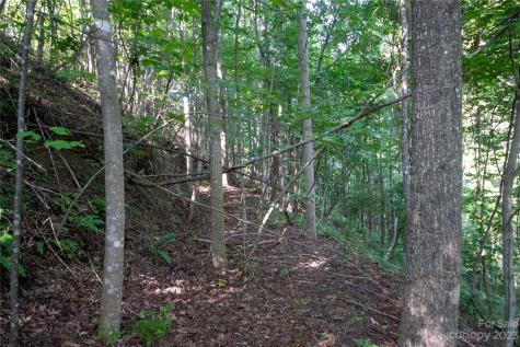 Lot# 526 Timber Rock Drive Lenoir NC 28645