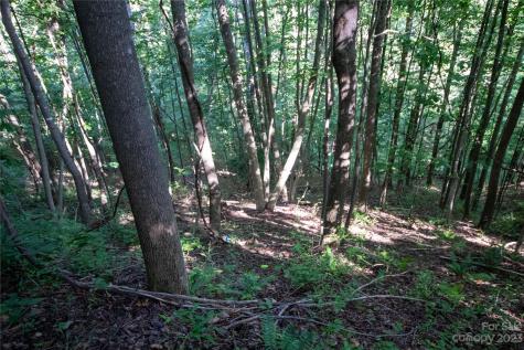 Lot# 526 Timber Rock Drive Lenoir NC 28645