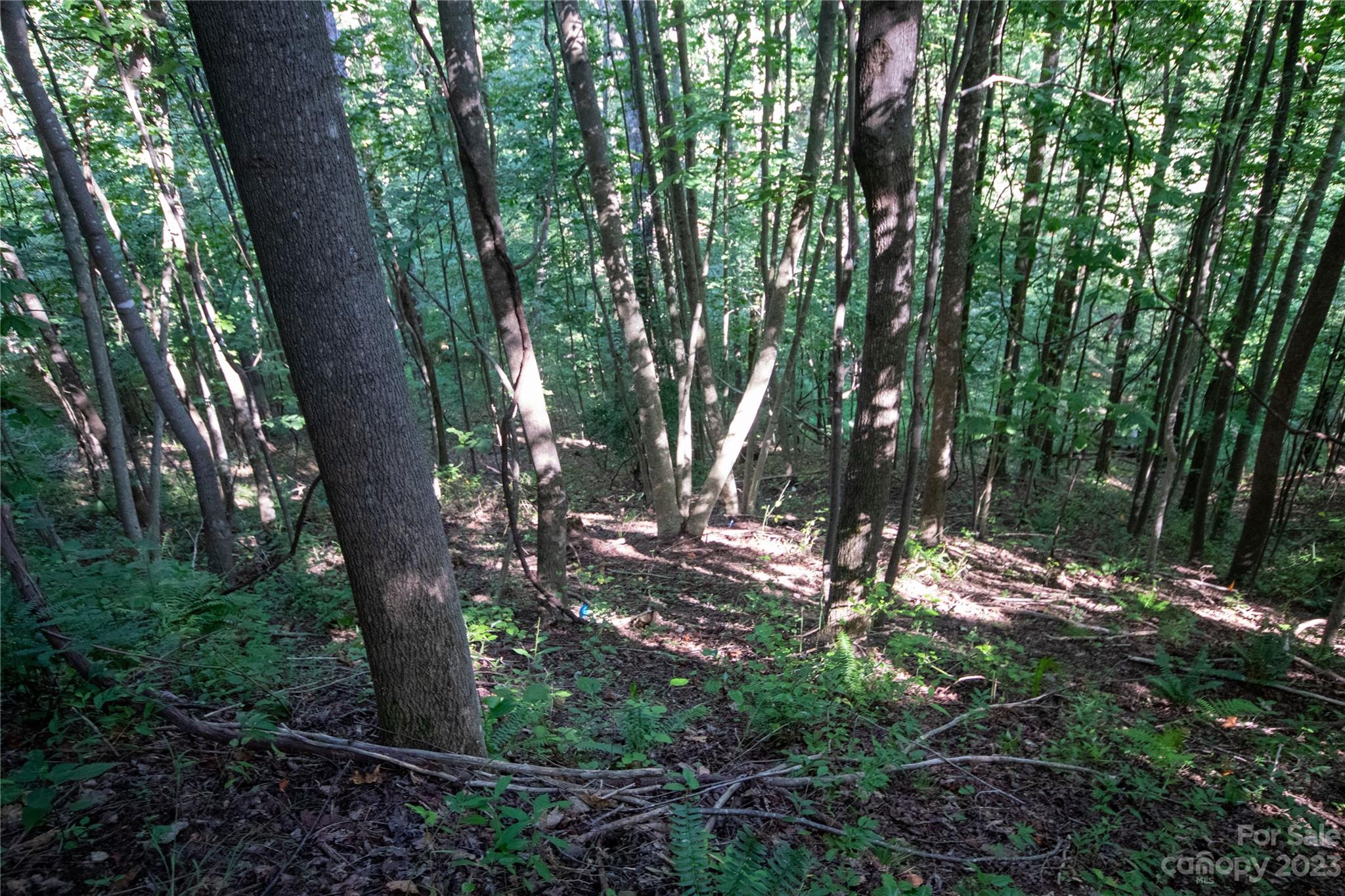 Lot# 526 Timber Rock Drive Lenoir NC 28645