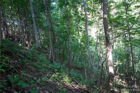 Lot# 526 Timber Rock Drive Lenoir NC 28645