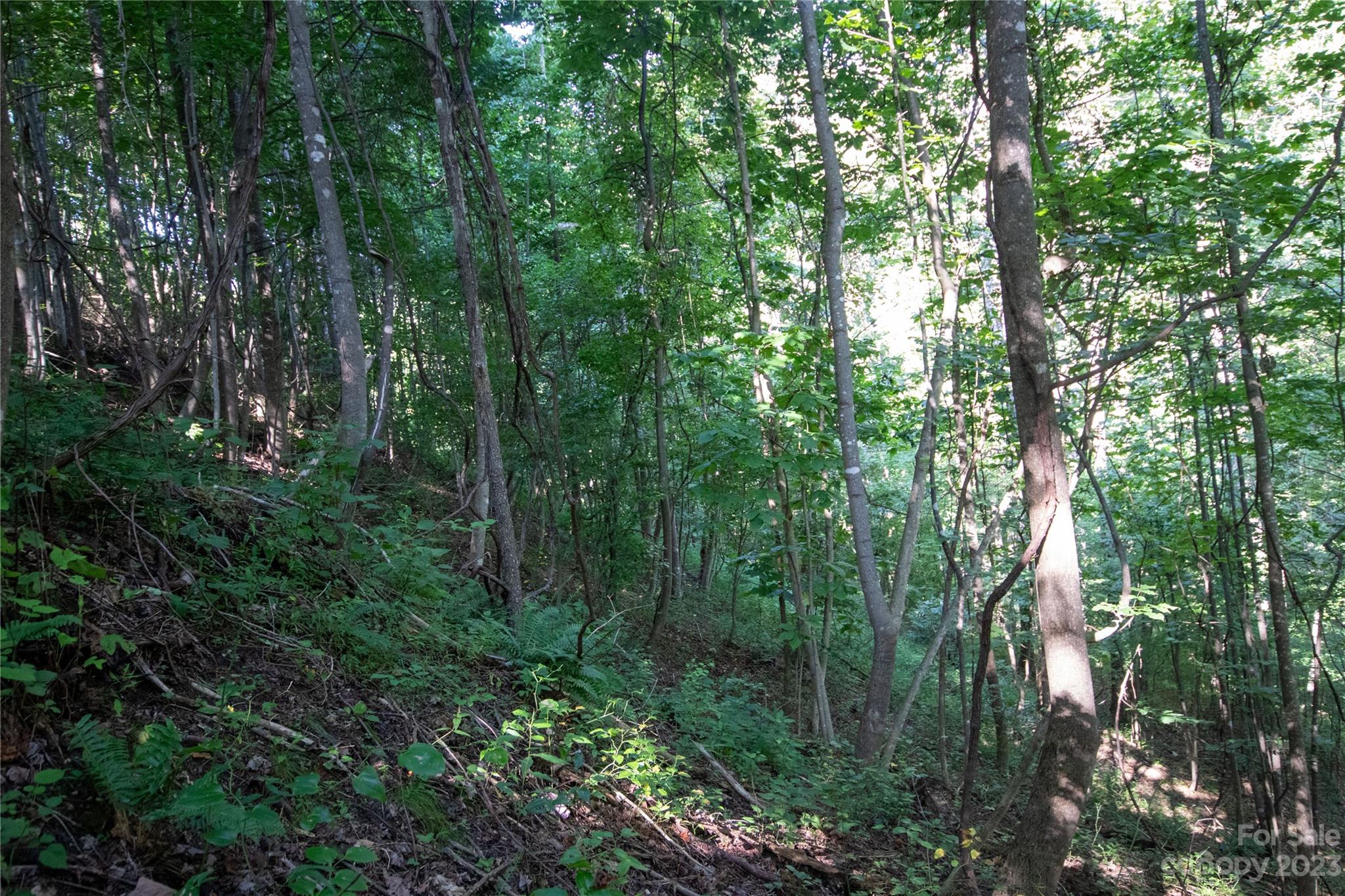 Lot# 526 Timber Rock Drive Lenoir NC 28645