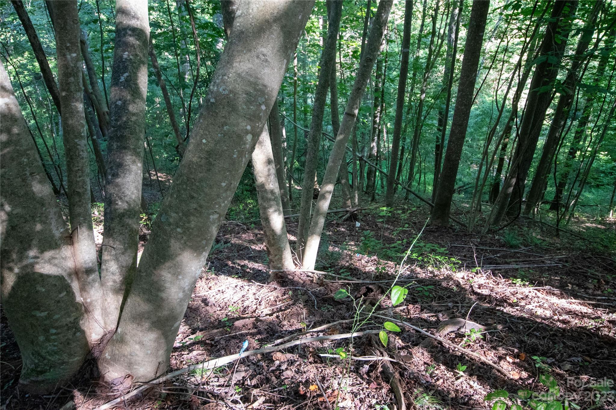 Lot# 526 Timber Rock Drive Lenoir NC 28645