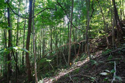 Lot# 526 Timber Rock Drive Lenoir NC 28645