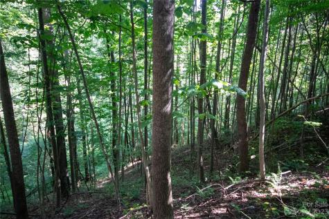 Lot# 526 Timber Rock Drive Lenoir NC 28645