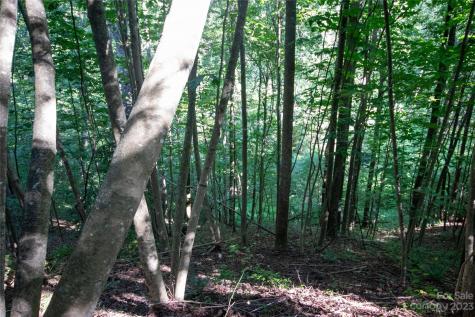 Lot# 526 Timber Rock Drive Lenoir NC 28645