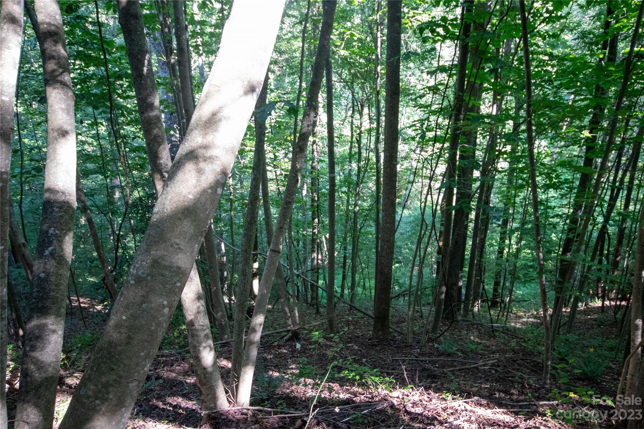 Lot# 526 Timber Rock Drive Lenoir NC 28645