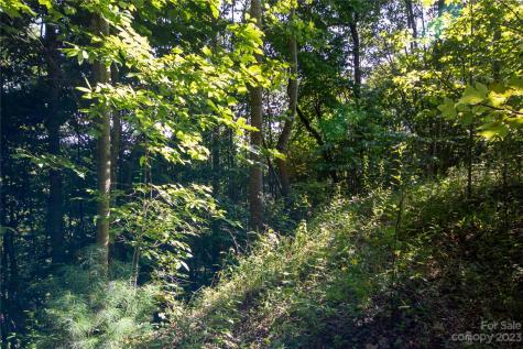 Lot# 526 Timber Rock Drive Lenoir NC 28645