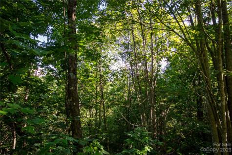 Lot# 526 Timber Rock Drive Lenoir NC 28645
