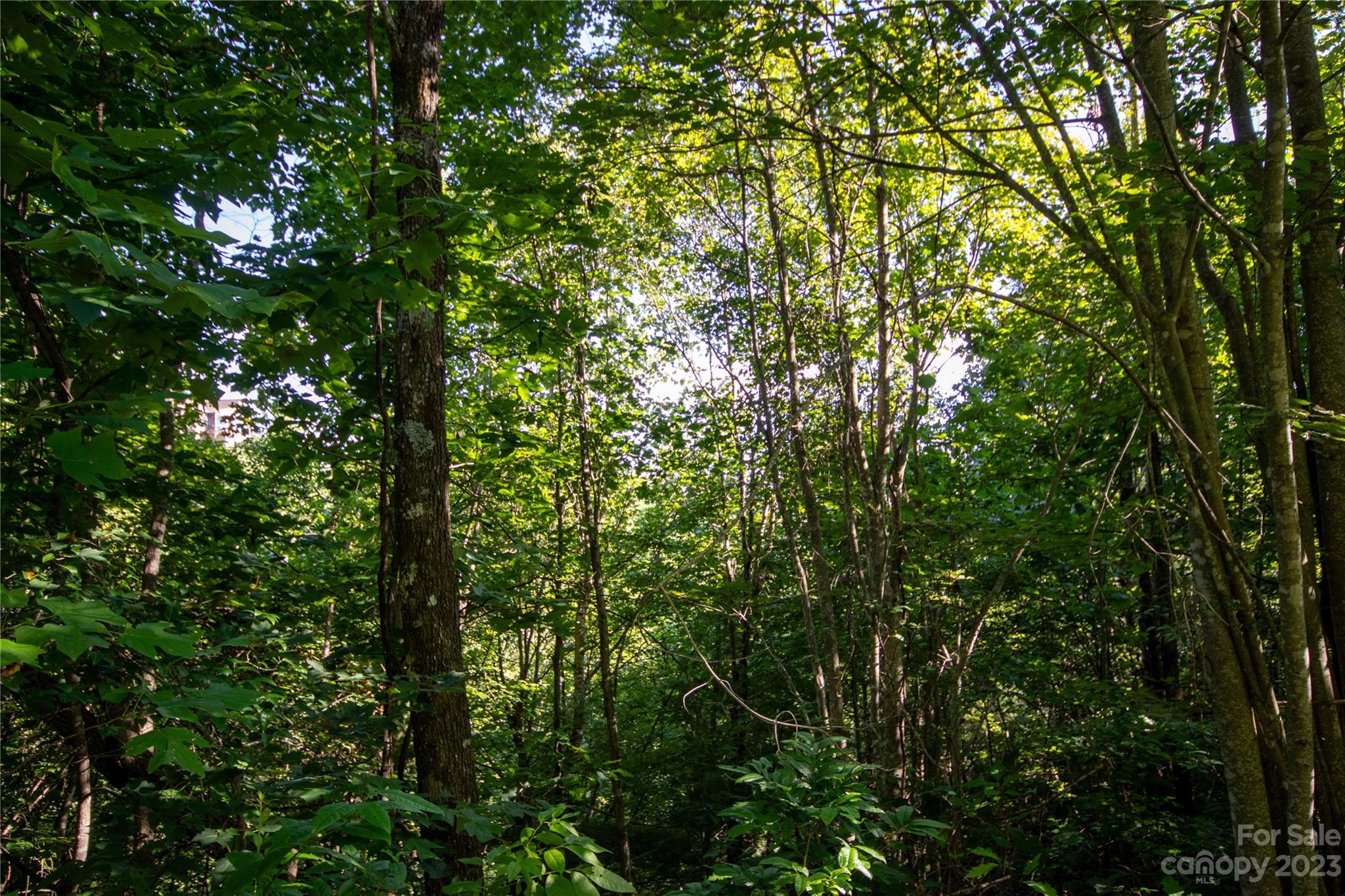 Lot# 526 Timber Rock Drive Lenoir NC 28645
