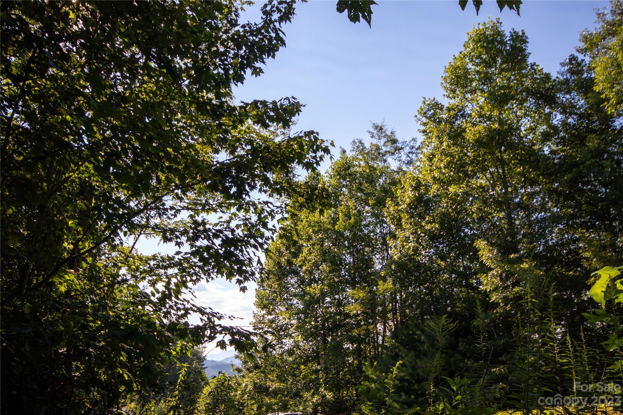 Lot# 526 Timber Rock Drive Lenoir NC 28645