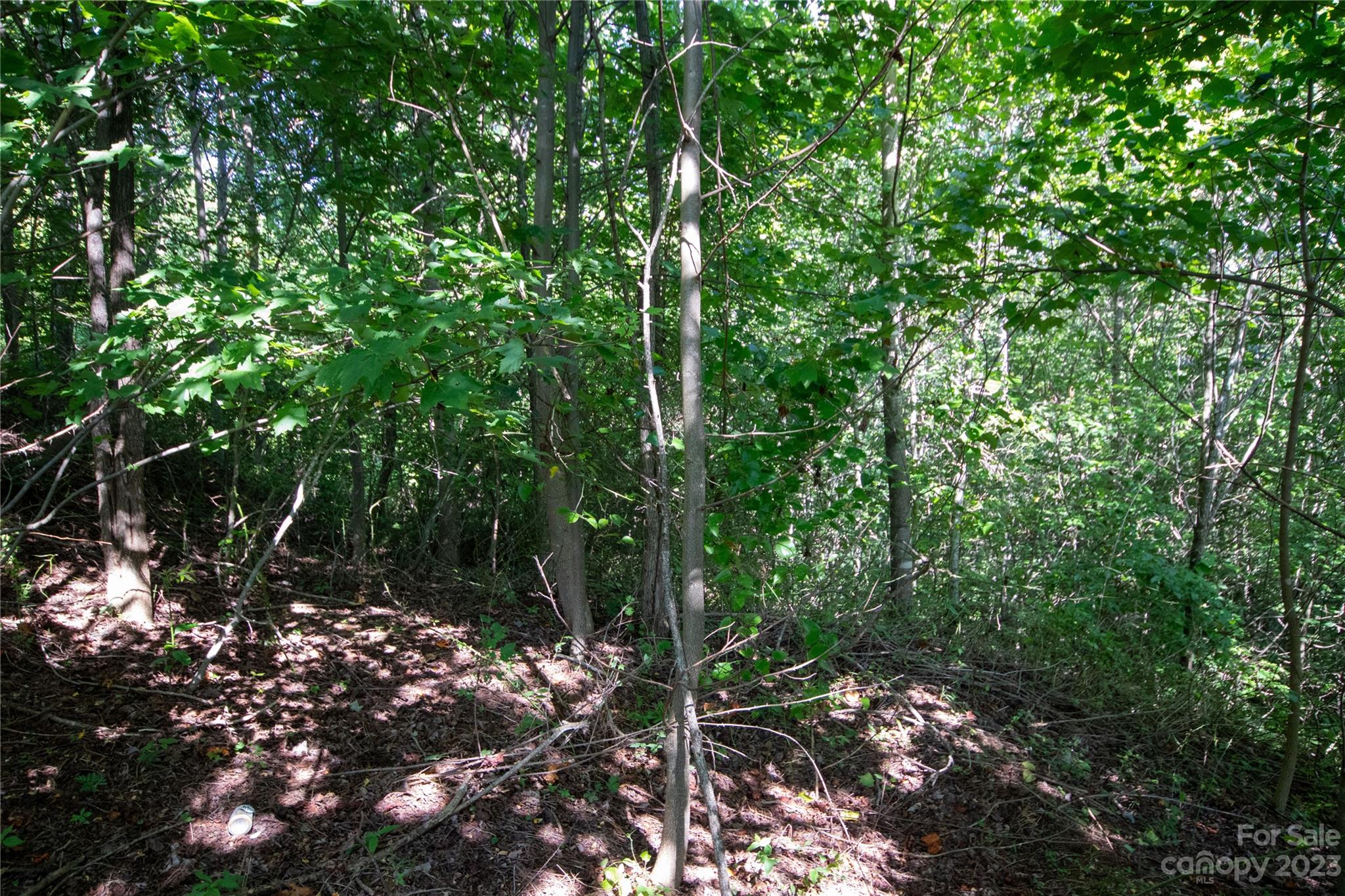 Lot# 526 Timber Rock Drive Lenoir NC 28645