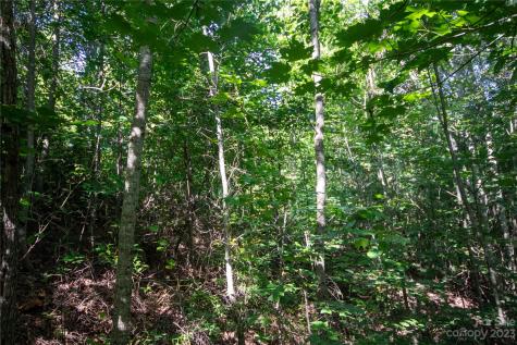 Lot# 526 Timber Rock Drive Lenoir NC 28645