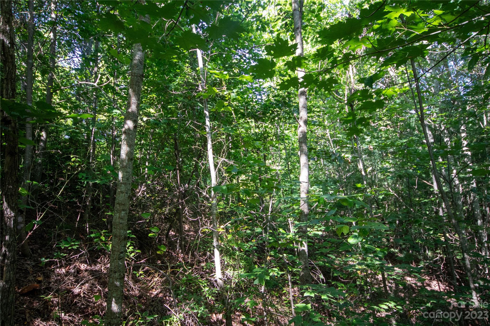 Lot# 526 Timber Rock Drive Lenoir NC 28645