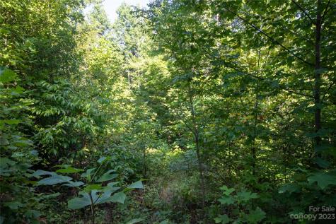 Lot# 526 Timber Rock Drive Lenoir NC 28645