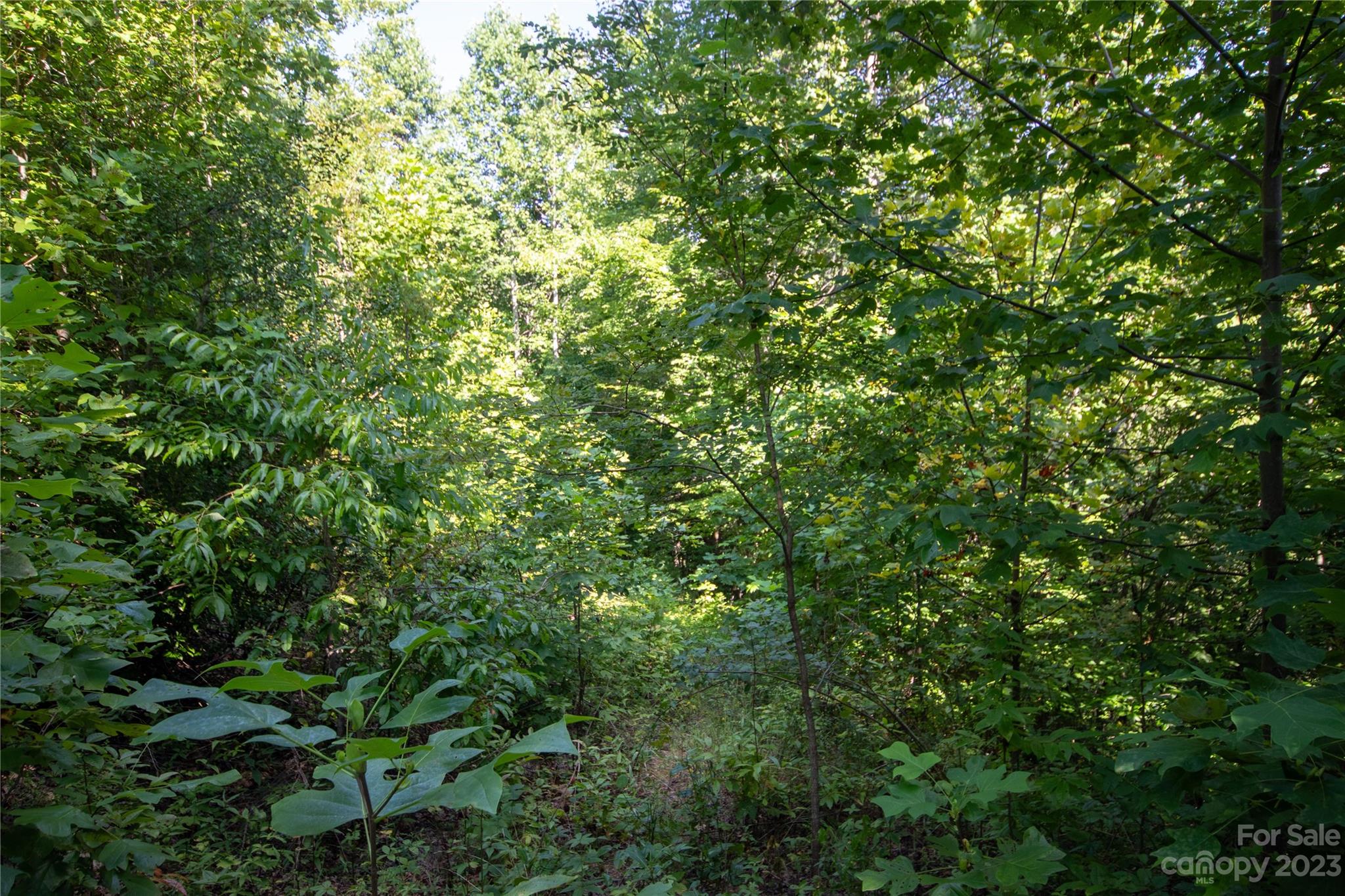 Lot# 526 Timber Rock Drive Lenoir NC 28645