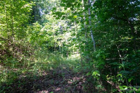 Lot# 526 Timber Rock Drive Lenoir NC 28645