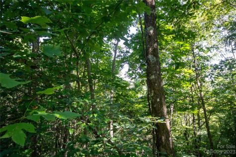 Lot# 526 Timber Rock Drive Lenoir NC 28645