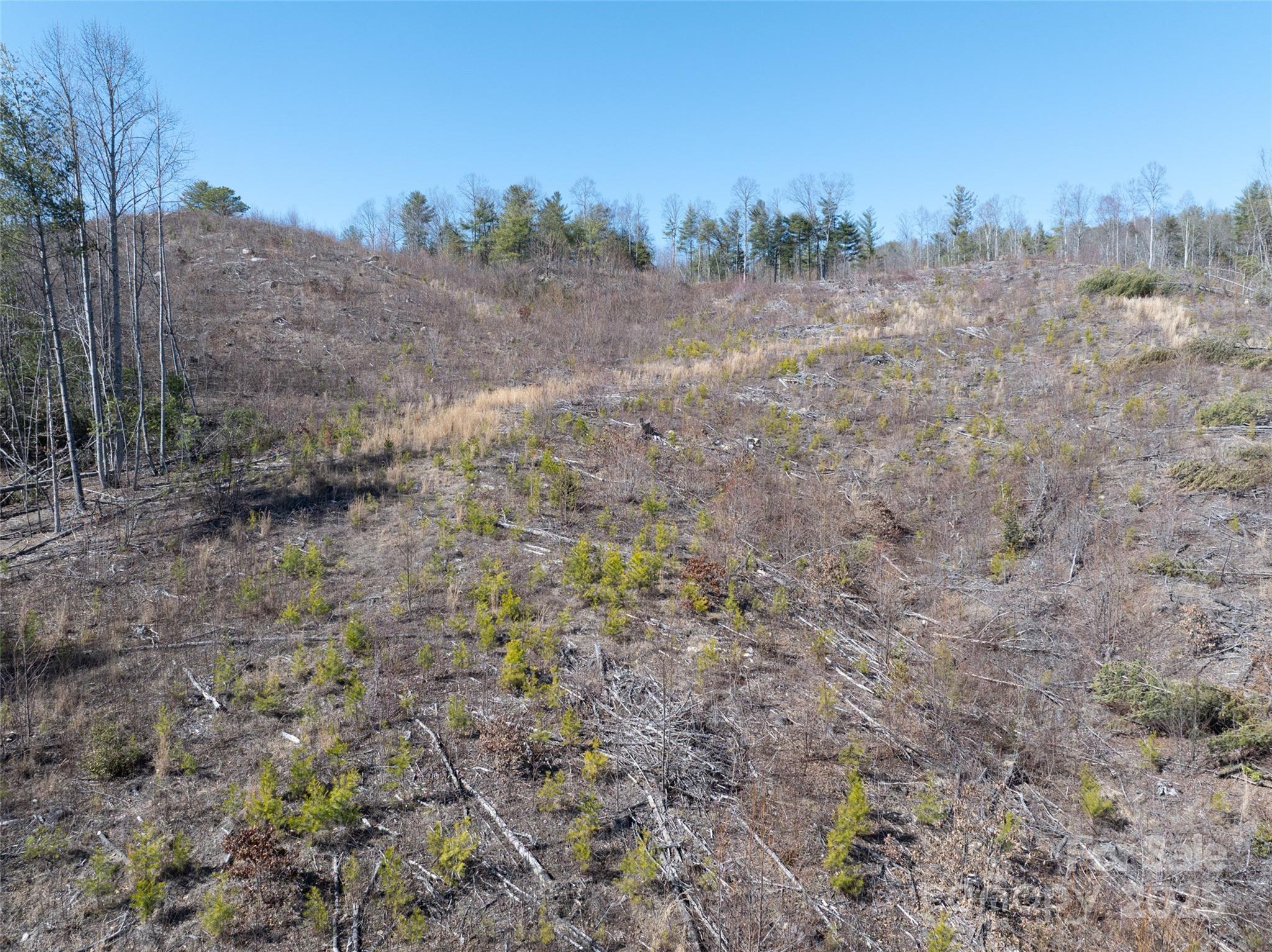 00 Star Point Drive Hendersonville NC 28792