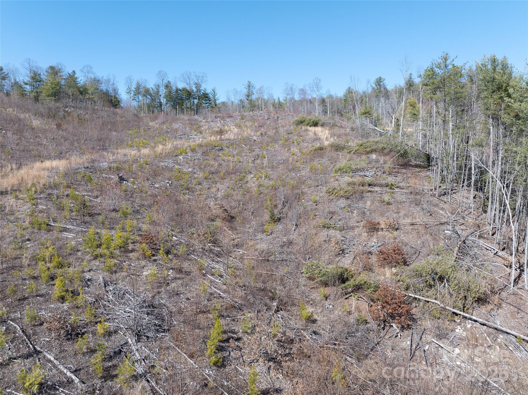 00 Star Point Drive Hendersonville NC 28792
