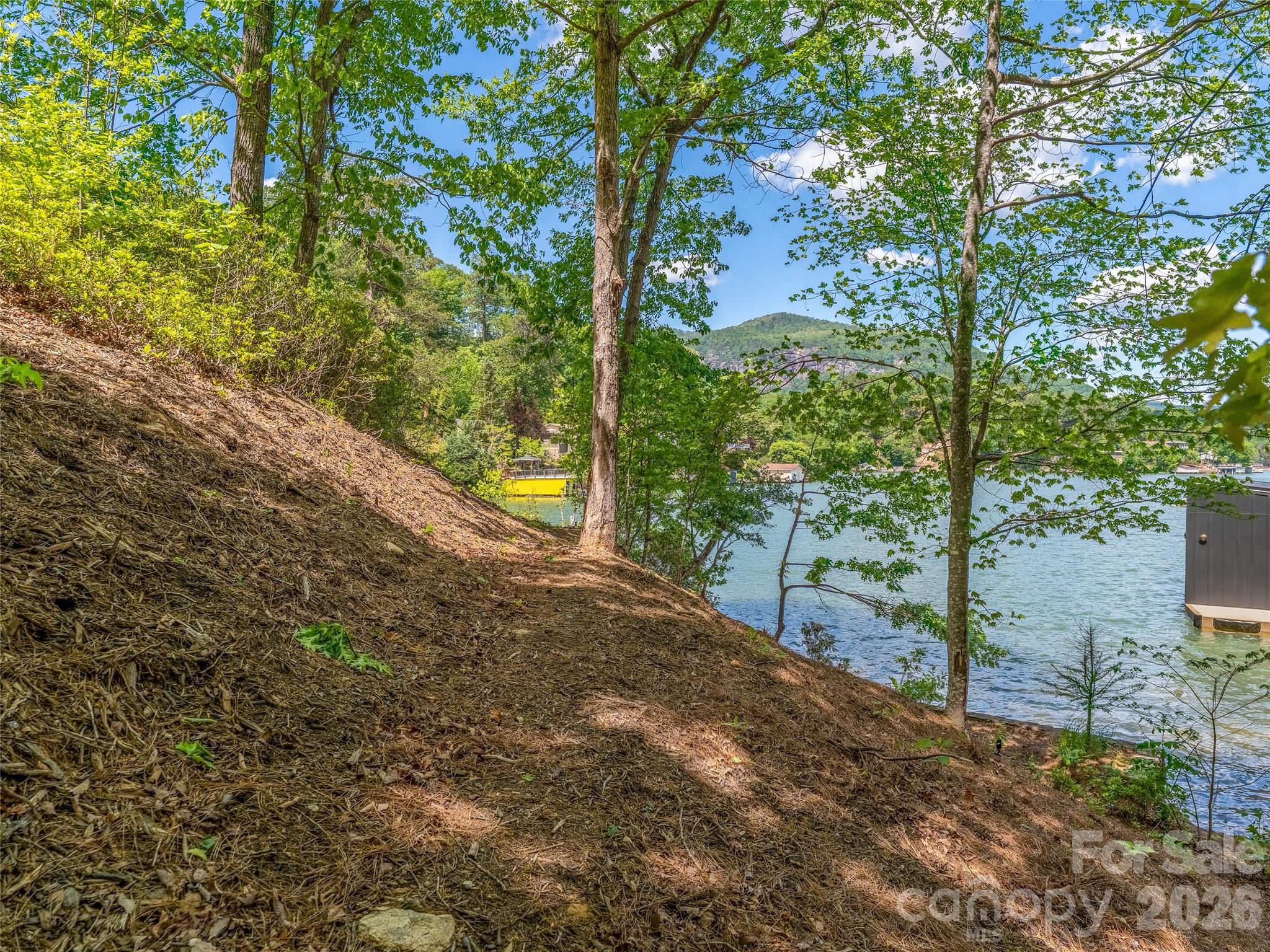 99999 Hawthorne Drive Lake Lure NC 28746
