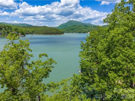 99999 Hawthorne Drive Lake Lure NC 28746