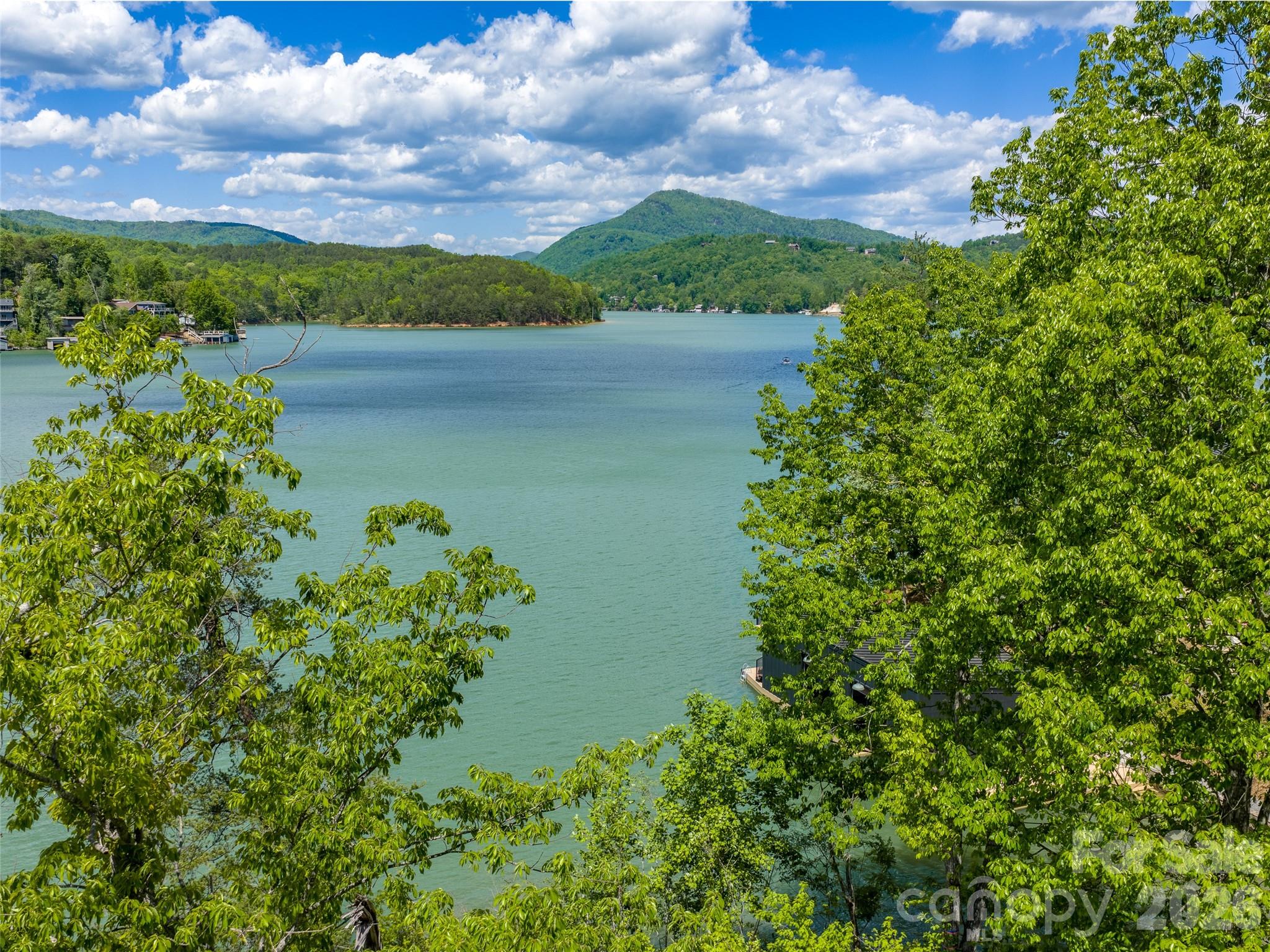 99999 Hawthorne Drive Lake Lure NC 28746