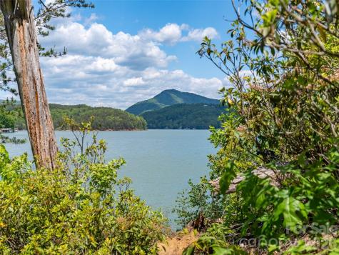 99999 Hawthorne Drive Lake Lure NC 28746
