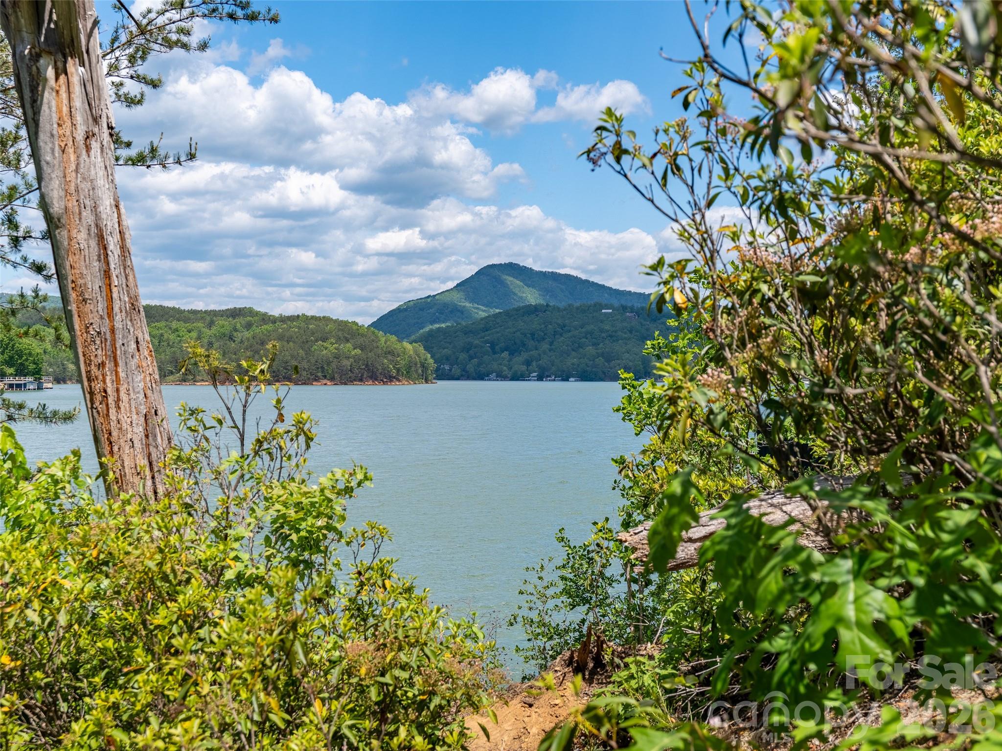 99999 Hawthorne Drive Lake Lure NC 28746