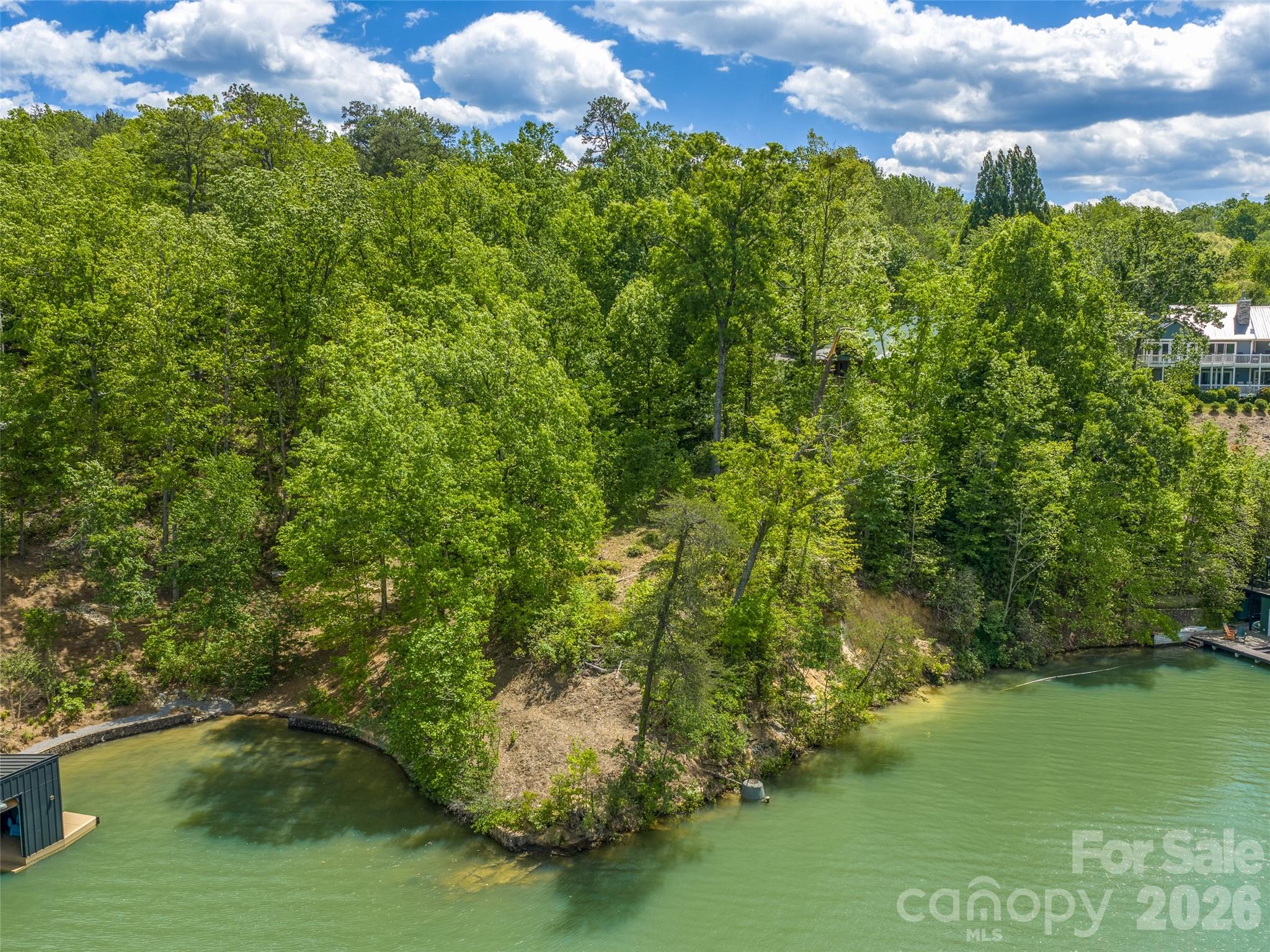 99999 Hawthorne Drive Lake Lure NC 28746