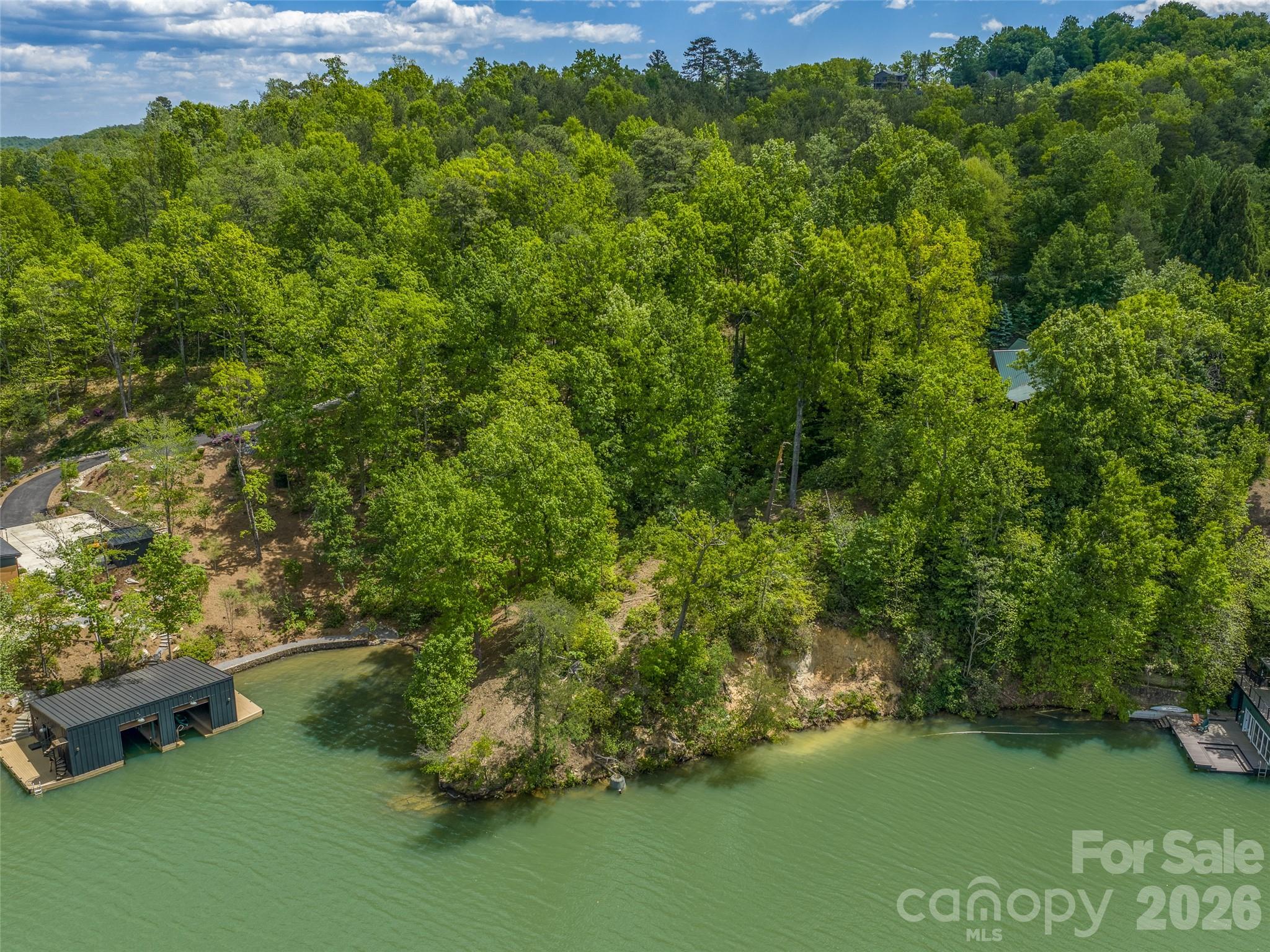99999 Hawthorne Drive Lake Lure NC 28746