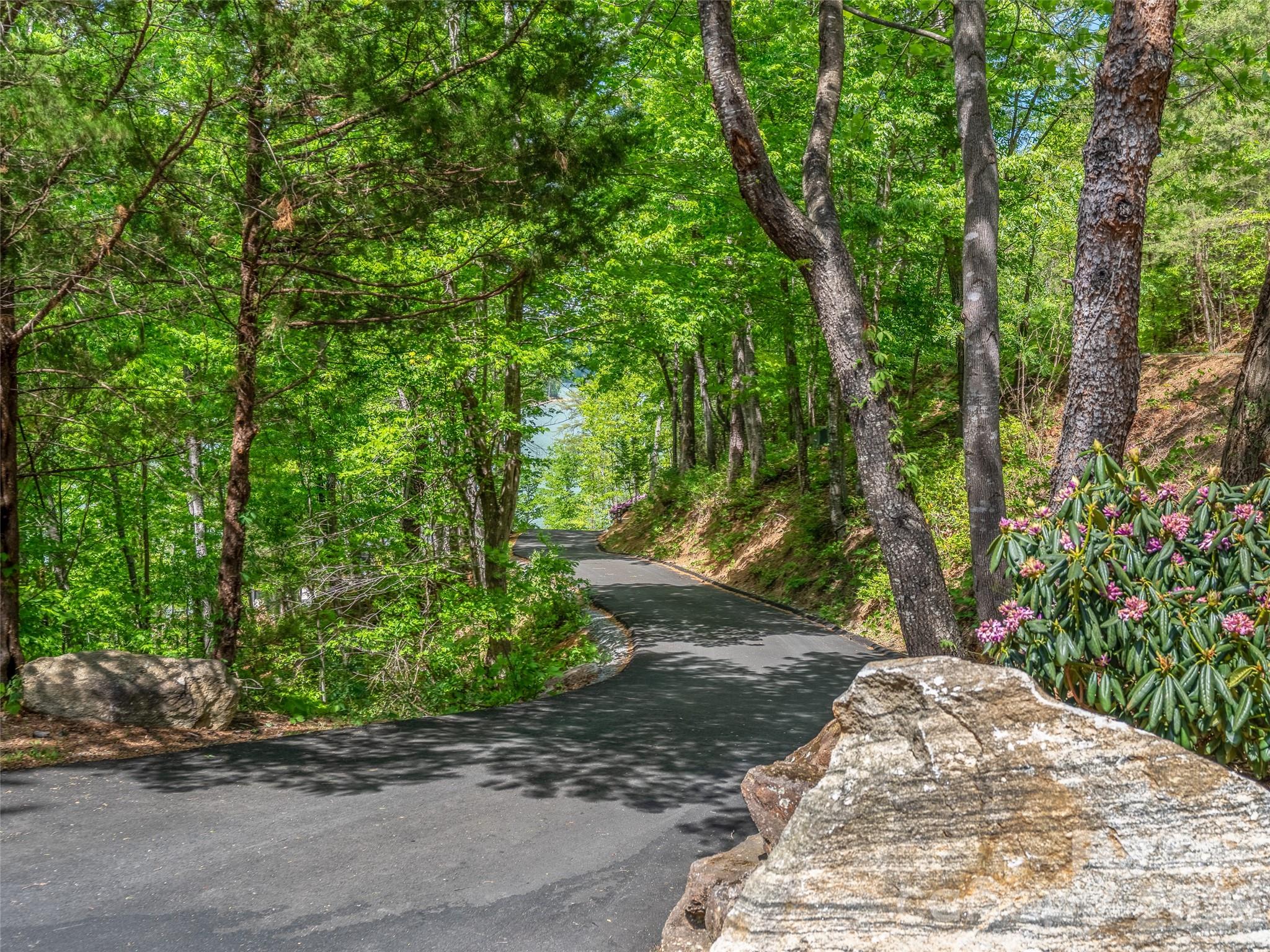 99999 Hawthorne Drive Lake Lure NC 28746