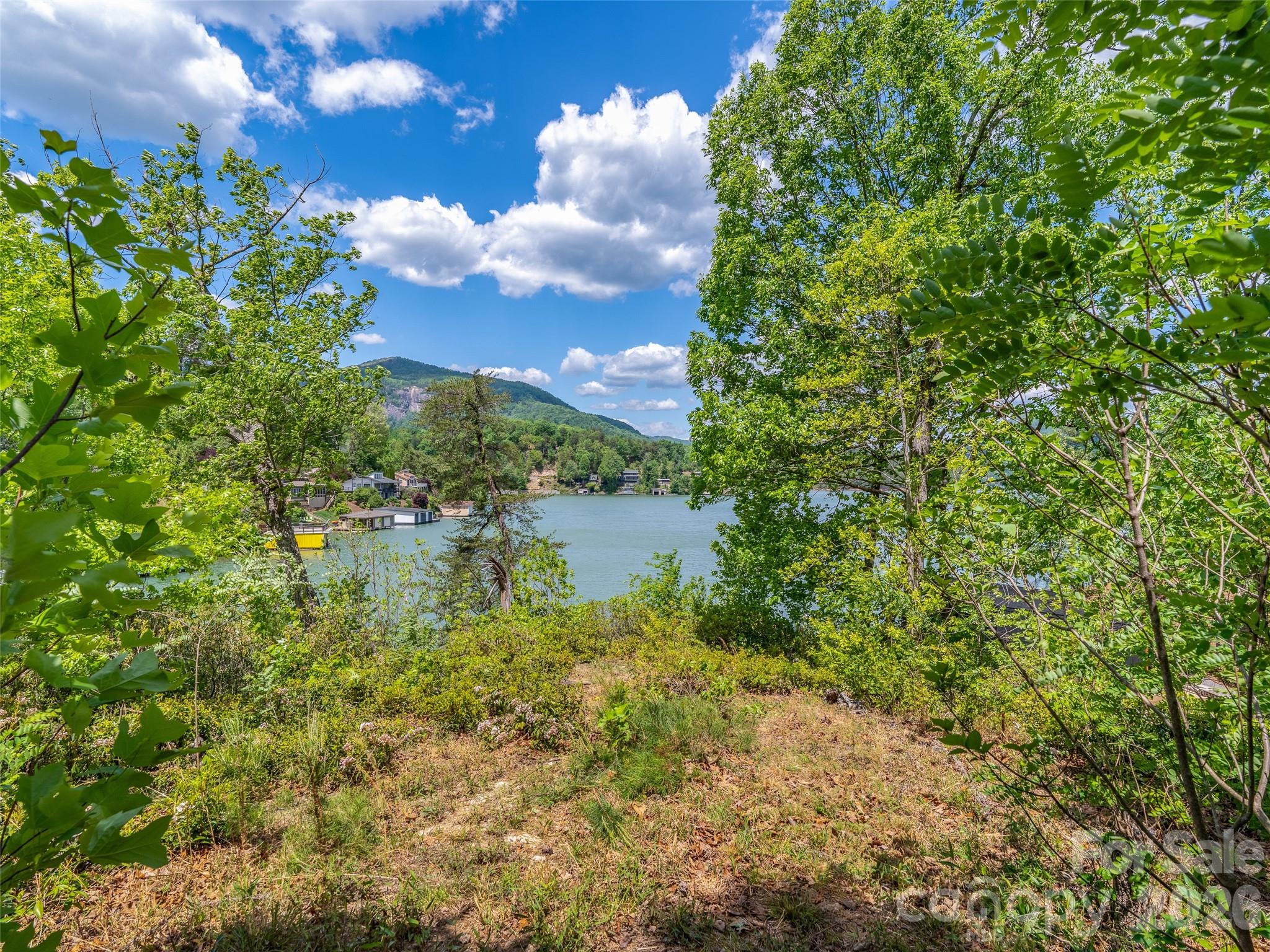 99999 Hawthorne Drive Lake Lure NC 28746