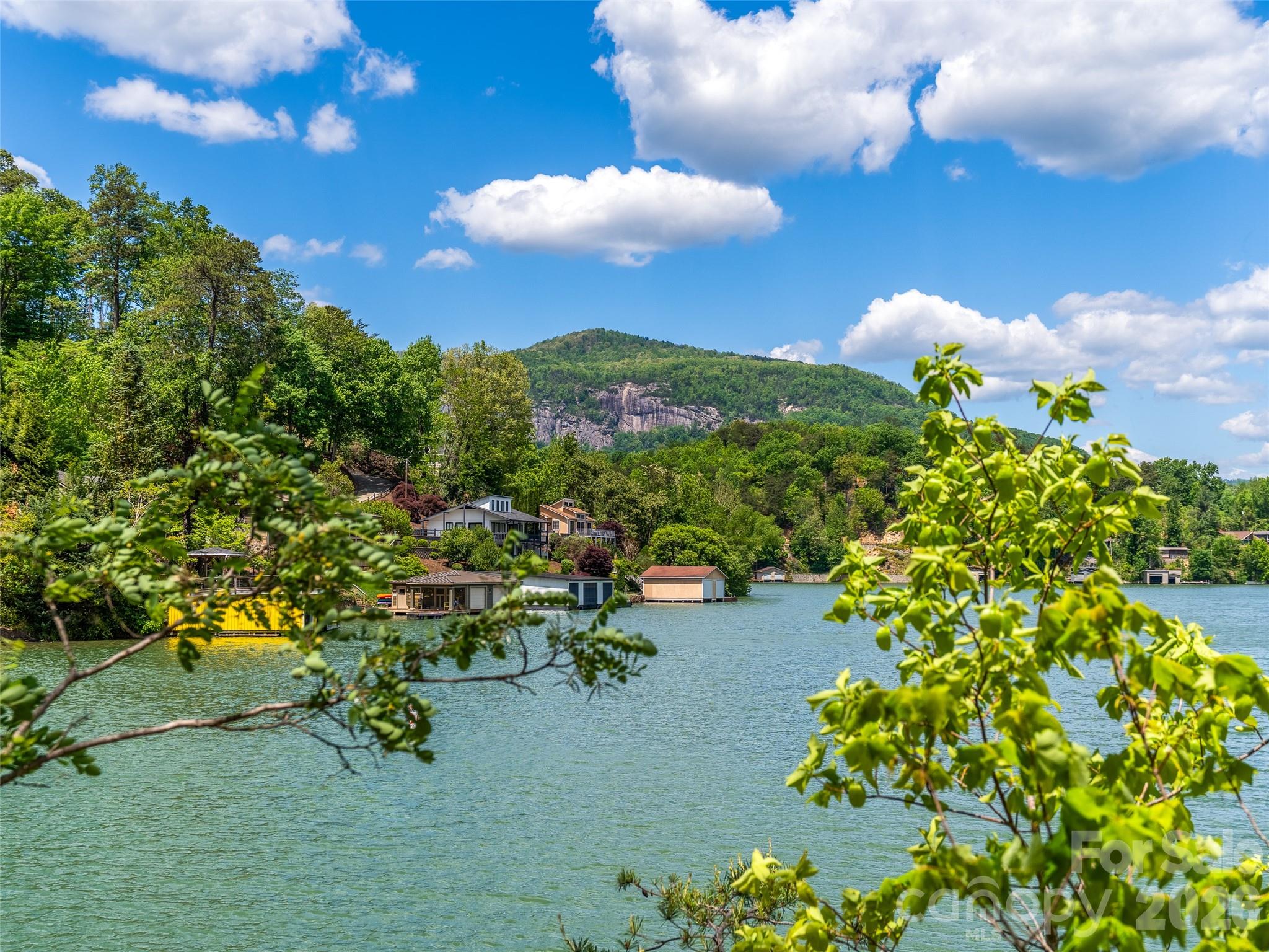 99999 Hawthorne Drive Lake Lure NC 28746