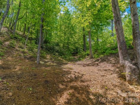 99999 Hawthorne Drive Lake Lure NC 28746