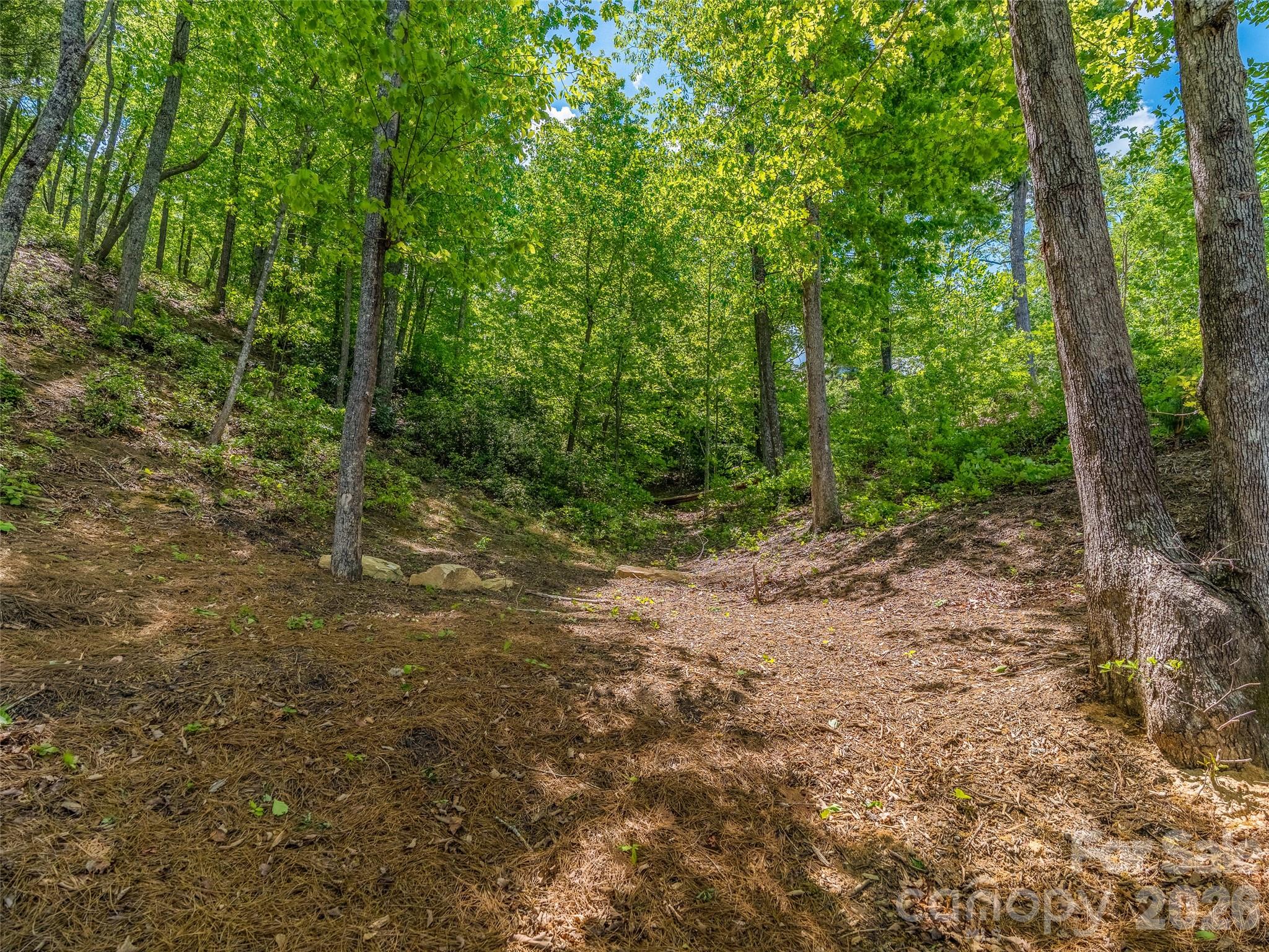 99999 Hawthorne Drive Lake Lure NC 28746