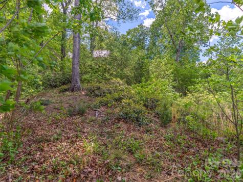 99999 Hawthorne Drive Lake Lure NC 28746