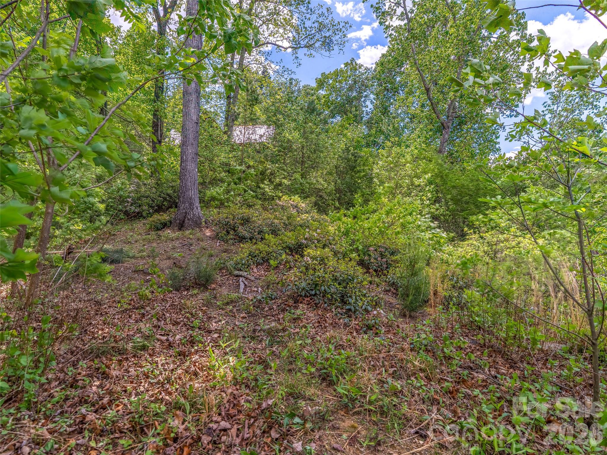 99999 Hawthorne Drive Lake Lure NC 28746