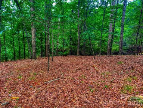 1996 Sierra Trace Road Denton NC 27239